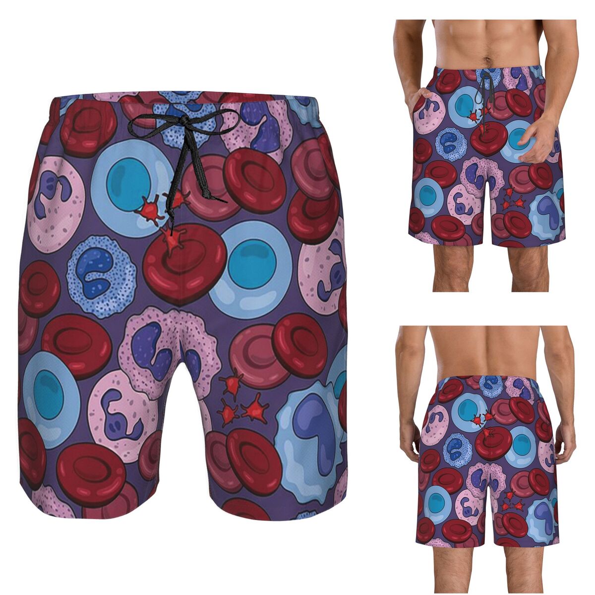 Hematology Blood Cells Medical - Medical Lab Board 评论和价格